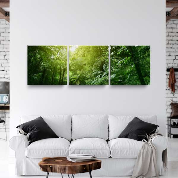 Slunce v tropické džungli